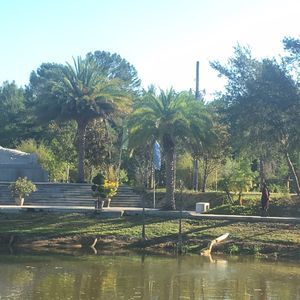 Meet your Posher, Tam